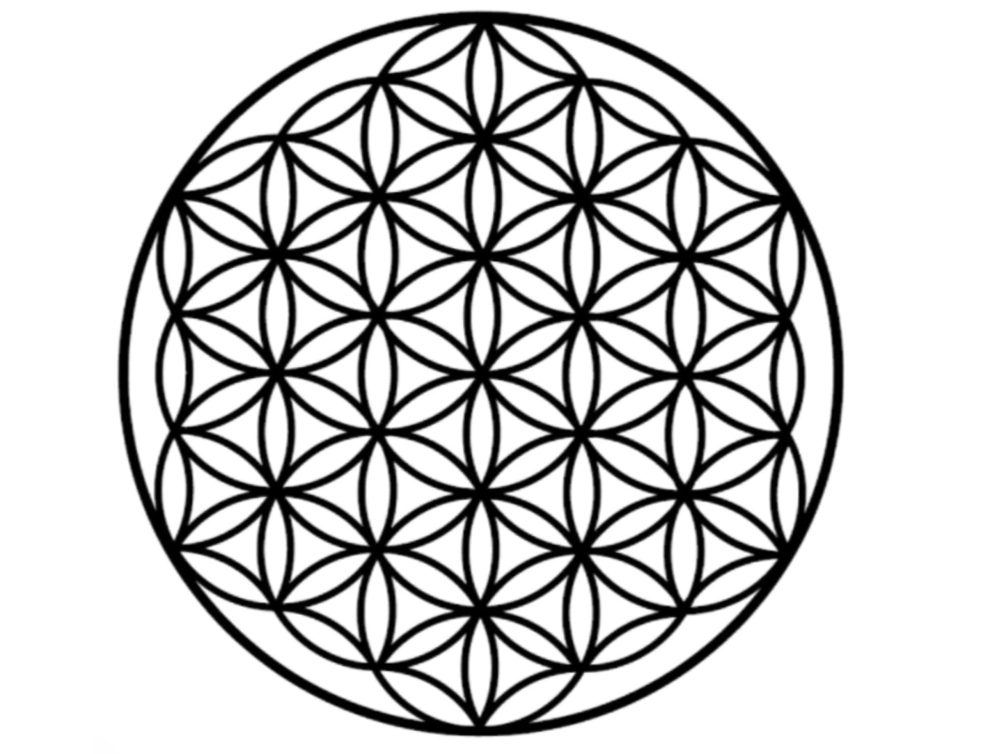 Flower of life 5x5 Vynil window decal