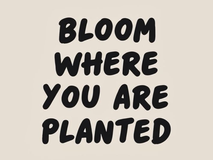 “Bloom where you are planted” 5x5 Vynil window decal black